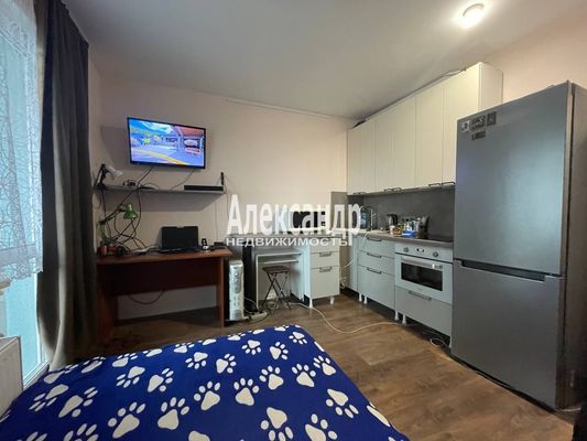 Фото квартиры по адресу Санкт-Петербург г, Пахомовская ул, д. 26