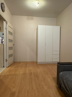 Объект по адресу Санкт-Петербург г, Орджоникидзе ул, д. 52