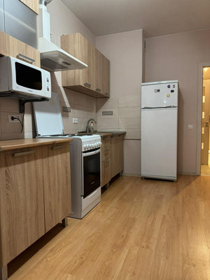 Объект по адресу Санкт-Петербург г, Орджоникидзе ул, д. 52