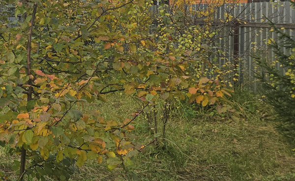 Объект по адресу Москва, Спортивная ул 