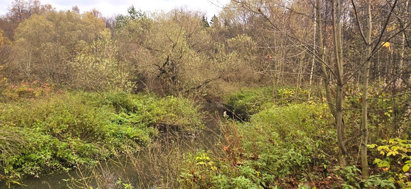 Объект по адресу Москва, Бурцево д 