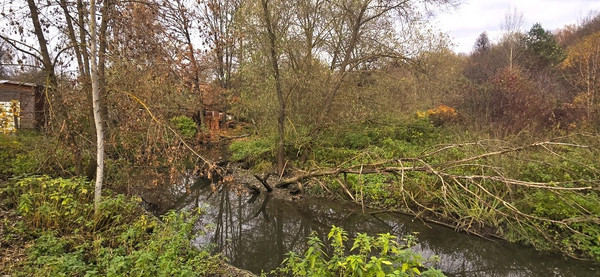 Объект по адресу Москва, Бурцево д 