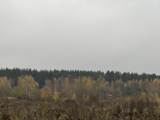 Объект по адресу Москва, Лукино п 