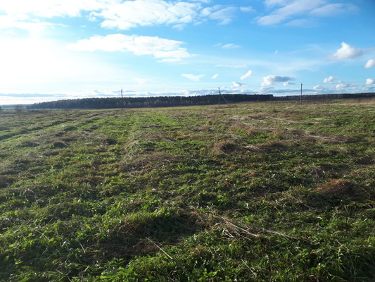 Объект по адресу Москва, Большое Рейзино д 