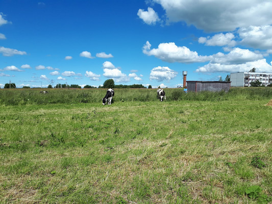 Объект по адресу Москва, Большое Рейзино д 