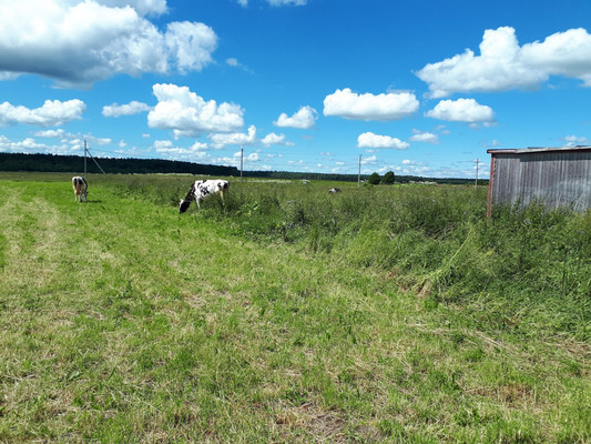 Объект по адресу Москва, Большое Рейзино д 