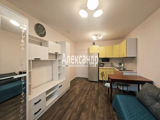 Объект по адресу Санкт-Петербург г, Пейзажная ул, д. 24к2