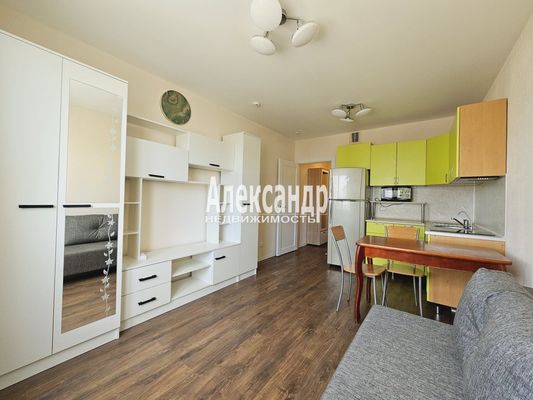 Объект по адресу Санкт-Петербург г, Пейзажная ул, д. 24к2