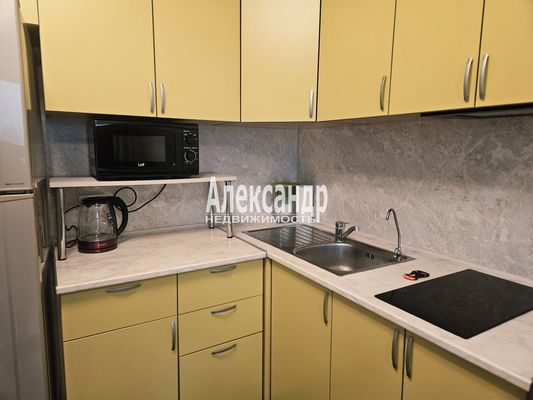 Объект по адресу Санкт-Петербург г, Пейзажная ул, д. 24к2