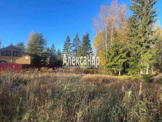 Объект по адресу Москва, Судаково п 