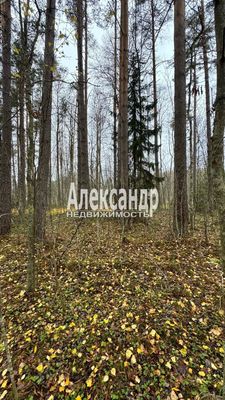 Объект по адресу Москва, СНТ Бережок тер 