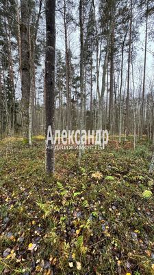 Объект по адресу Москва, СНТ Бережок тер 