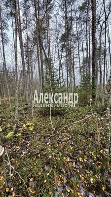 Объект по адресу Москва, СНТ Бережок тер 