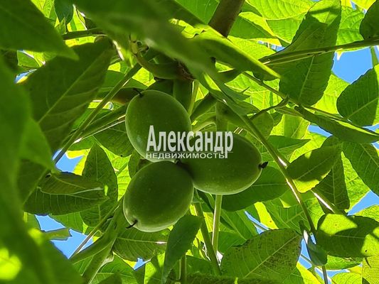 Объект по адресу Москва, Яблоневая ул, 14А 