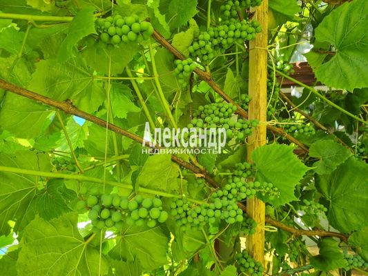 Объект по адресу Москва, Яблоневая ул, 14А 