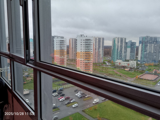 Объект по адресу Санкт-Петербург, Маршака пр-кт, 16к4 