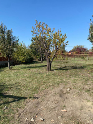 Объект по адресу Москва, Луч снт 