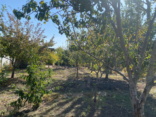 Объект по адресу Москва, Луч снт 