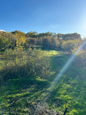 Объект по адресу Москва, 11-й (Колос тер. СНТ) проезд 
