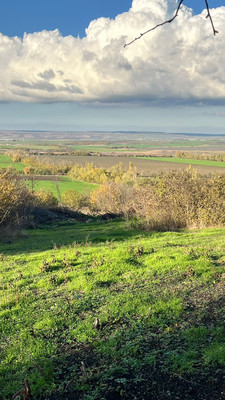 Объект по адресу Москва, 11-й (Колос тер. СНТ) проезд 