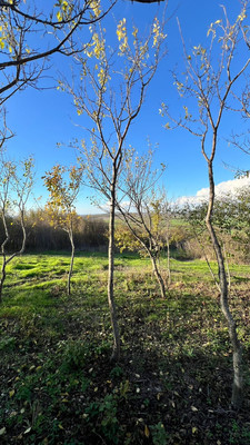 Объект по адресу Москва, 11-й (Колос тер. СНТ) проезд 