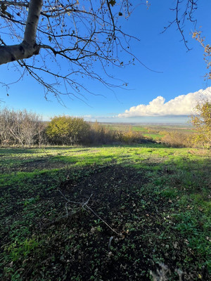 Объект по адресу Москва, 11-й (Колос тер. СНТ) проезд 