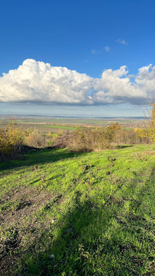 Объект по адресу Москва, 11-й (Колос тер. СНТ) проезд 