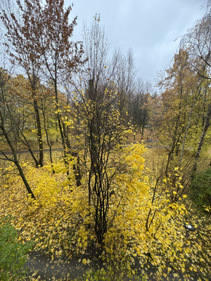 Объект по адресу Санкт-Петербург, Гражданский пр-кт, 94к1 