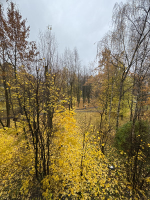 Объект по адресу Санкт-Петербург, Гражданский пр-кт, 94к1 