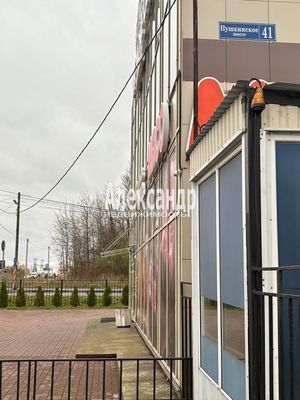 Объект по адресу Москва, Пушкинское ш, 41 