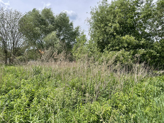 Объект по адресу Москва, Гостица (Гостица мкр.) ул, 98 