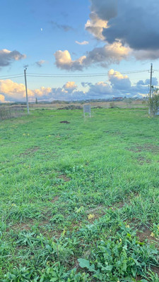 Объект по адресу Москва, Тополиная ул 