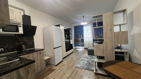 Объект по адресу Санкт-Петербург, Васнецовский пр-кт, 20 