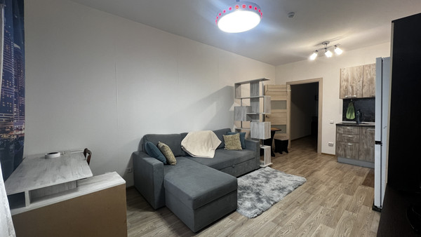 Объект по адресу Санкт-Петербург, Васнецовский пр-кт, 20 