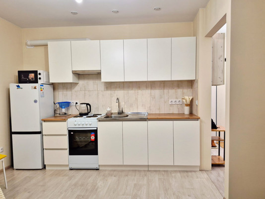 Объект по адресу Санкт-Петербург г, Парголово п, Шишкина ул, д. 303к1