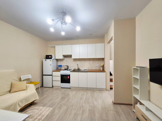 Объект по адресу Санкт-Петербург г, Парголово п, Шишкина ул, д. 303к1