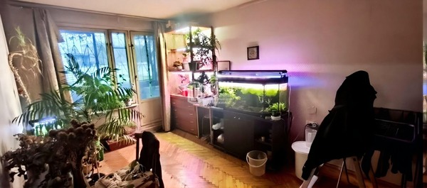 Объект по адресу Москва, Мусоргского ул, 1 