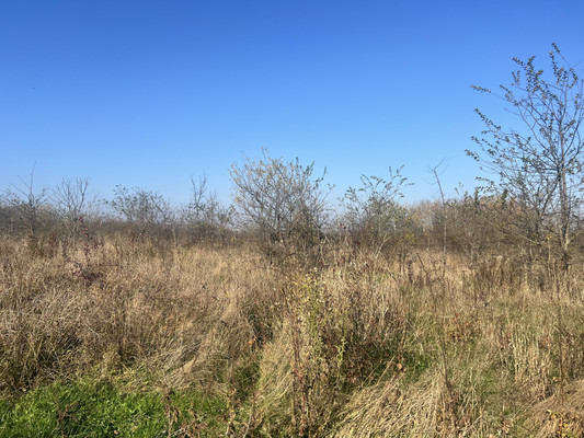 Объект по адресу Краснодарский край, Апшеронский р-н, Ковыльная ул