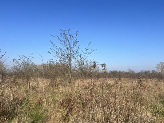 Объект по адресу Краснодарский край, Апшеронский р-н, Ковыльная ул