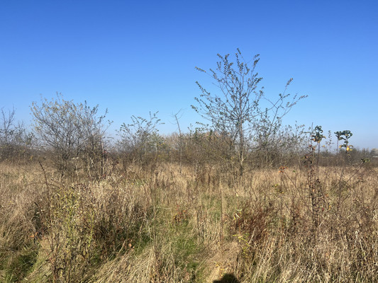 Объект по адресу Краснодарский край, Апшеронский р-н, Ковыльная ул