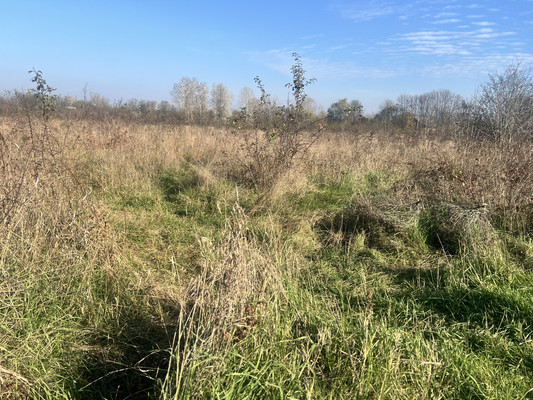 Объект по адресу Краснодарский край, Апшеронский р-н, Ковыльная ул