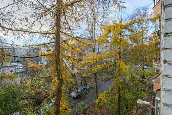 Фото квартиры по адресу Санкт-Петербург, Танкиста Хрустицкого ул, 116А 