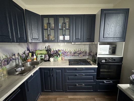 Объект по адресу Санкт-Петербург г, Коллонтай ул, д. 2