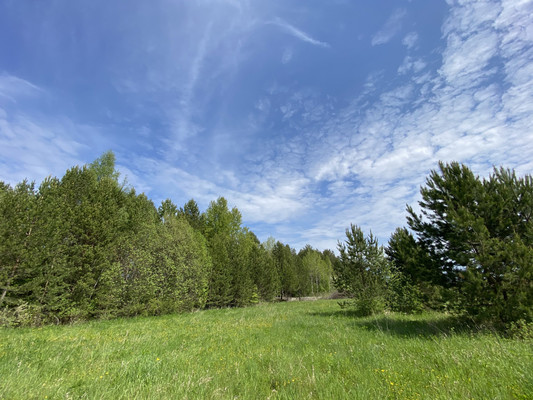 Объект по адресу Пермский край, Пермский р-н, Усть-Качка с, Ленина ул