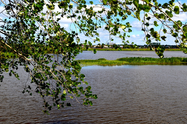 Объект по адресу Пермский край, Пермский р-н, Усть-Качка с, Ленина ул