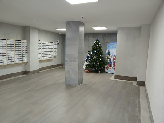 Объект по адресу Красноярский край, Октябрьский р-н, Лесопарковая ул, д. 43