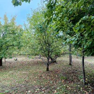 Объект по адресу Ленинградская обл, Ломоносовский р-н, СНТ Пески тер, 13-я линия ул