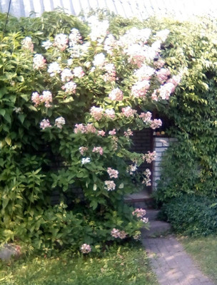 Объект по адресу Ленинградская обл, Ломоносовский р-н, СНТ Пески тер, 13-я линия ул