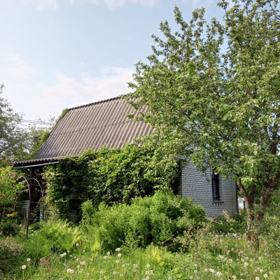 Объект по адресу Ленинградская обл, Ломоносовский р-н, СНТ Пески тер, 13-я линия ул