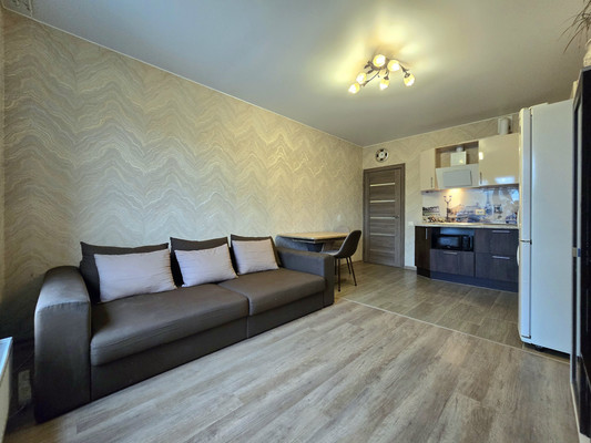 Фото квартиры по адресу Санкт-Петербург г, Ветеранов пр-кт, д. 169к6